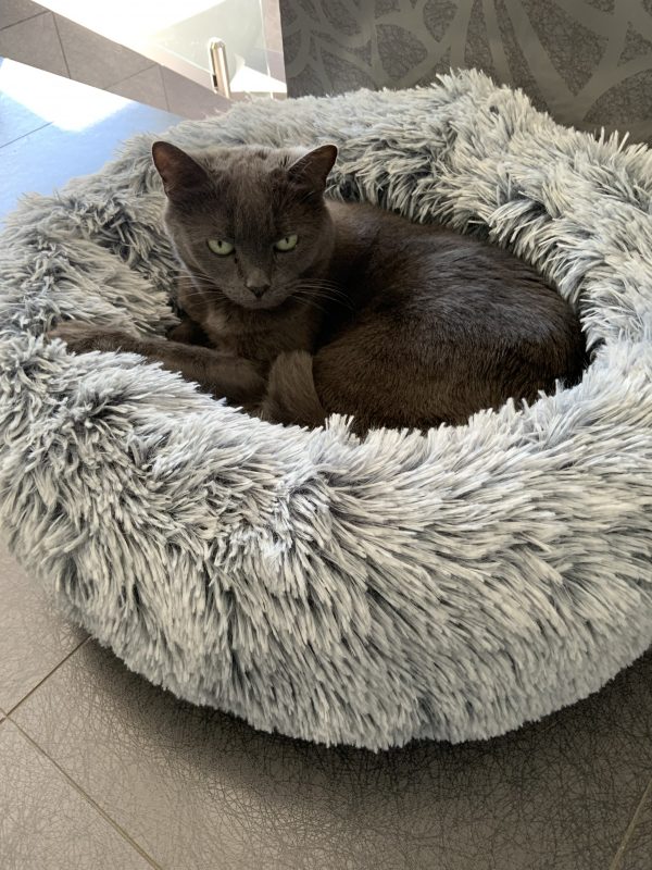Monte & Co | Luxury Calming Cuddler Cat Bed by Snooza Australia | Lucy in Shimmering Silver Fox