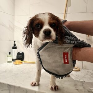 Monte & Co | Luxury Dog Pet Cat SupaDry Microfibre Towel Mitt by Snooza Pet Products Australia