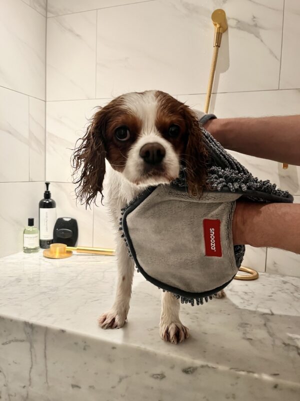 Monte & Co | Luxury Dog Pet Cat SupaDry Microfibre Towel Mitt by Snooza Pet Products Australia