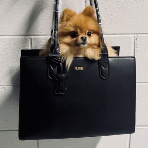 Monte & Co | Luxury Designer Black LOLA Dog Cat Travel Tote Bag Carrier by ST ARGO