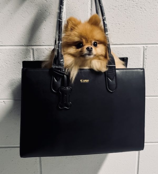 Monte & Co | Luxury Designer Black LOLA Dog Cat Travel Tote Bag Carrier by ST ARGO