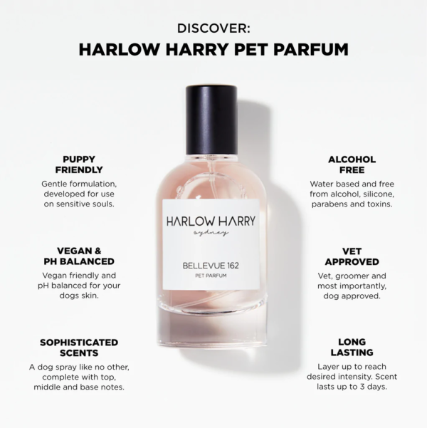 Monte & Co | Designer dog perfume pet parfum by Harlow Harry | Bellevue 162