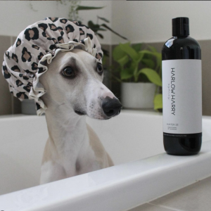 Monte & Co | Dog Conditioning Shampoo by Harlow Harry | Hunter 33