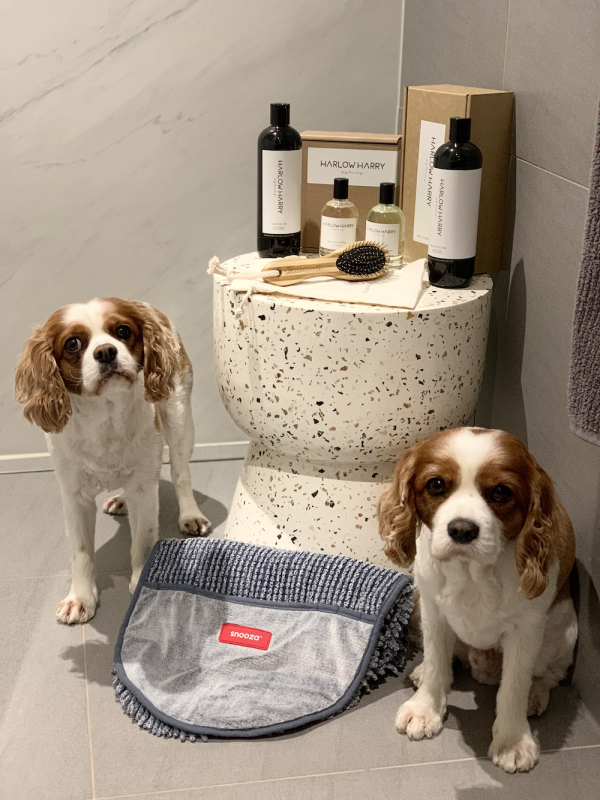 Monte & Co | Luxury Dog Spa Essentials | Harlow Harry, Sebastian Says & Snooza