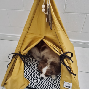 Monte & Co | Chic teepee pet cat dog bed | Mustard