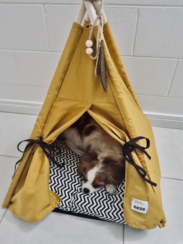 Monte & Co | Chic teepee pet cat dog bed | Mustard