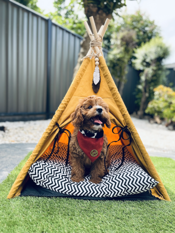 Monte & Co | Designer pet cat dog teepee tent bed in stylish mustard