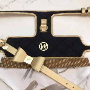 Monte & Co | Coco Midnight Black & Champagne Gold Pet Harness, Collar & Scarf Set by HGP Luxury Pet Accessories