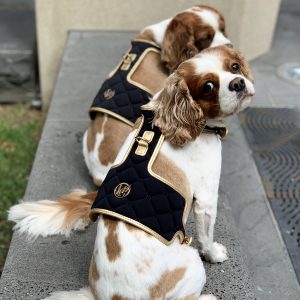 Coco' Designer Pet Harness by HGP Luxury Pet Accessories | Monte & Co