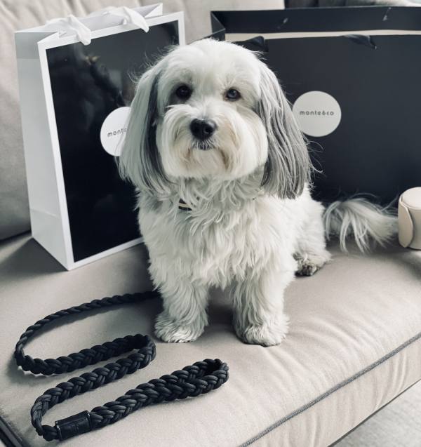 Monte & Co | Designer Dog Lead Plaited Black by HGP Luxury Pet Accessories