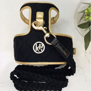 Monte & Co | The Coco Midnight Black & Gold Quilted Pet Dog Cat Harness by HGP Luxury Pet Accessories