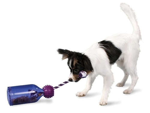Monte & Co | Busy Buddy Tug & Play Dispensing Toy by PetSafe