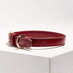 Monte & Co | Designer Pet Cat Dog Collar in Ruby Red Vegan Leather by St Argo