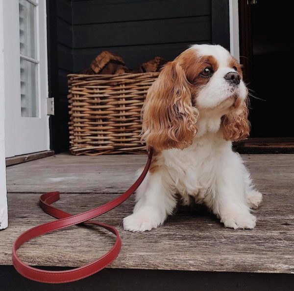 Monte & Co | Designer Red Vegan Leather Dog Leash Lead by St Argo Melbourne