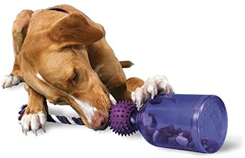 Monte & Co | Tug & Play Dispensing Pet Dog Toy by PetSafe
