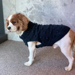 Monte & Co's curated winter collection includes the Luxury Merino Wool Bobble Chunky Knit in Indigo Navy Blue by Sebastian Says, Australian designer dog brand