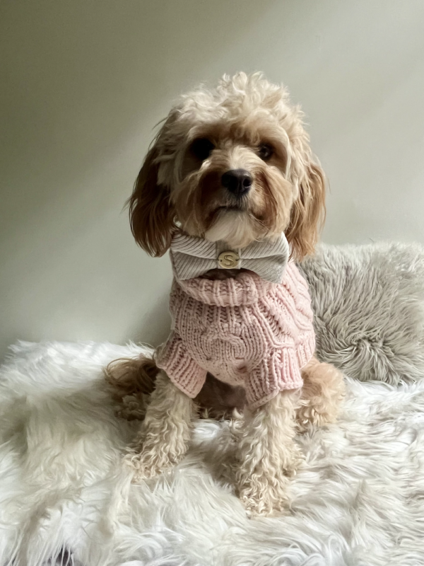 Monte & Co | Luxury dog corduroy bow tie in Natural White and Luxury Merino Wool French Knit Sweater in Soft Pale Pink by Sebastian Says