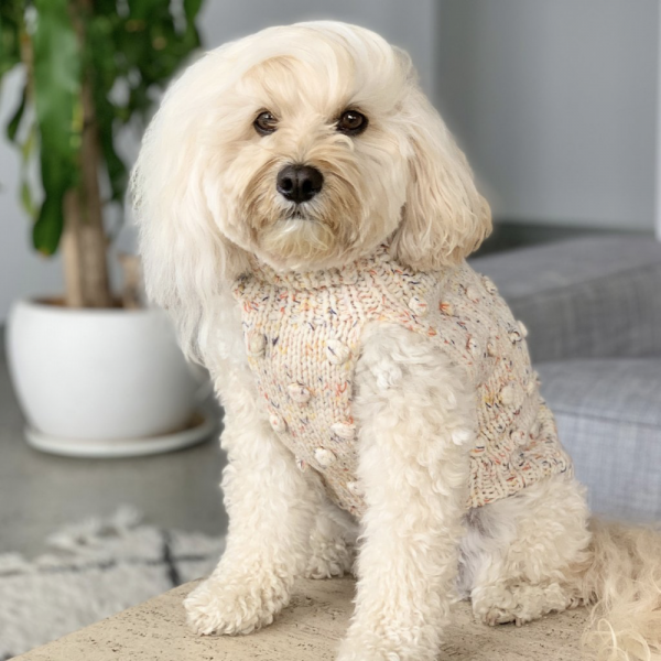 Monte & Co | Merino wool bobble knit dog jumper sweater in Speckle by Sebastian Says