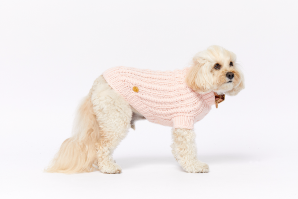 Monte & Co | Merino wool cable knit dog jumper sweater in Soft Pale Pink by Sebastian Says