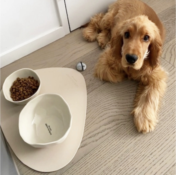 Monte & Co | Designer Feeding Dog Bowl Place mat by Harlow Harry | Eggshell