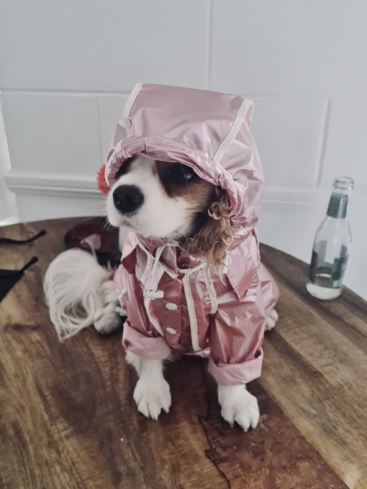 Monte & Co | Designer Dog Rain coat jacket by Sebastian Says | Pale Soft Pink