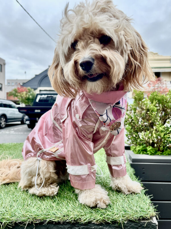 Monte & Co | Designer Pet Dog Rain coat trench jacket by Sebastian Says | Pale Soft Pink
