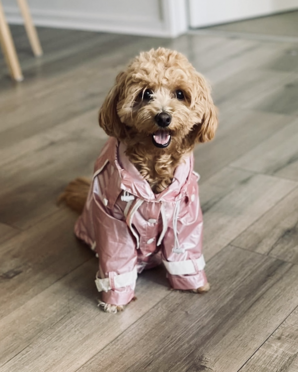 Monte & Co | Designer dog raincoat trench by Sebastian Says | Soft Pink
