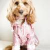 Monte & Co | Designer pet dog rain coat jacket trench by Sebastian Says in Shimmering Soft Pale Pink