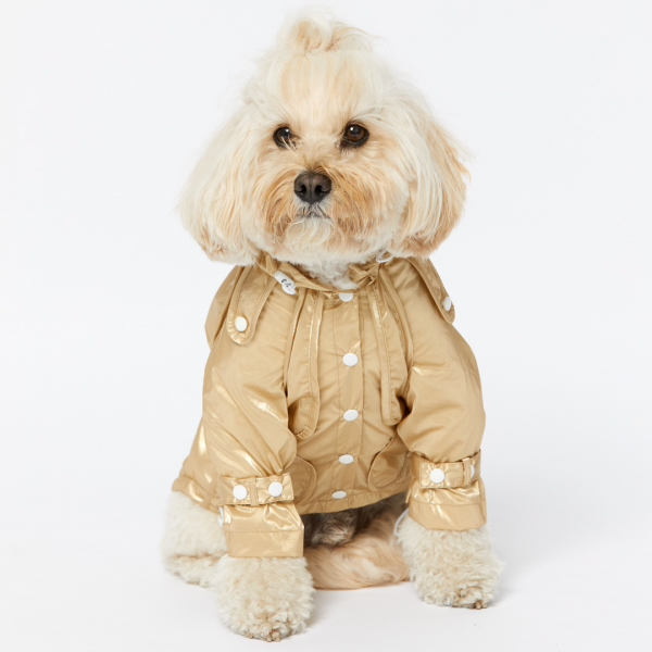 Monte & Co | Designer dog cat pet raincoat trench by Sebastian Says | Gold (Lifestyle)