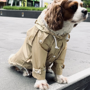 Monte & Co | Designer dog raincoat by Sebastian Says | Sheer Gold