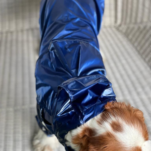 Monte & Co | Designer dog raincoat by Sebastian Says | Top Profile