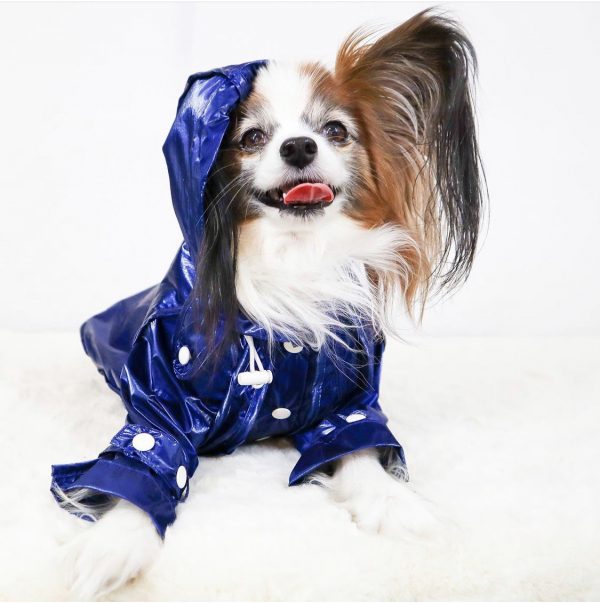 Monte & Co | Designer dog raincoat trench coat by Sebastian Says | Cobalt Blue