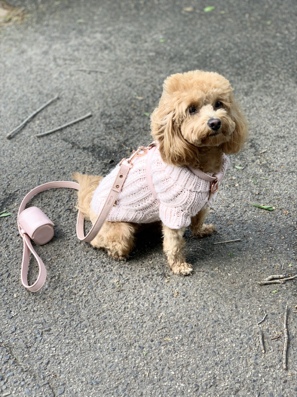 Monte & Co | Designer Dog Harness Walking Set in Pale Pink by St Argo Melbourne