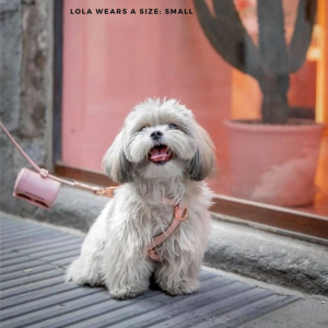 Monte & Co | Pale Pink Designer Dog Harness by St Argo