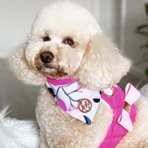 Monte & Co | Designer Dog Bandana Pet Scarf by HGP Luxury Pet Accessories | The Australiana