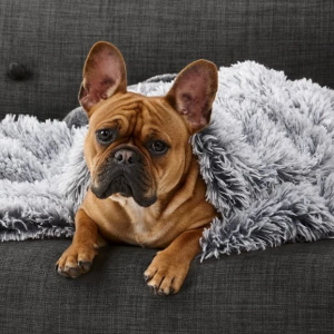 Monte & Co | Luxury Calming Cuddler Blanket | Silver Fox | By SNOOZA PETS AUSTRALIA