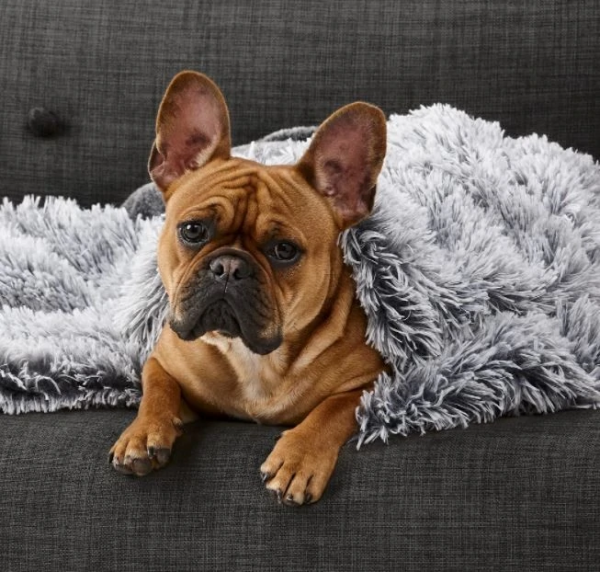 Monte & Co | Luxury Calming Cuddler Blanket | Silver Fox | By SNOOZA PETS AUSTRALIA