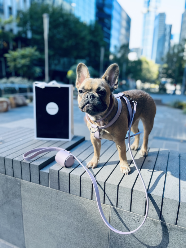 Monte & Co's latest colour crush - lilac. Now available in the Designer Dog Harness by St Argo Melbourne