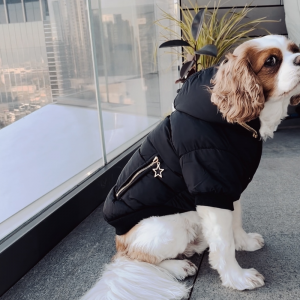 Monte & Co | Gangsta Street Couture Designer Winter Black Puffer Dog Coat Cat Pet Jacket by HUSKIMO AUSTRALIA | Black & Gold (Side Profile)
