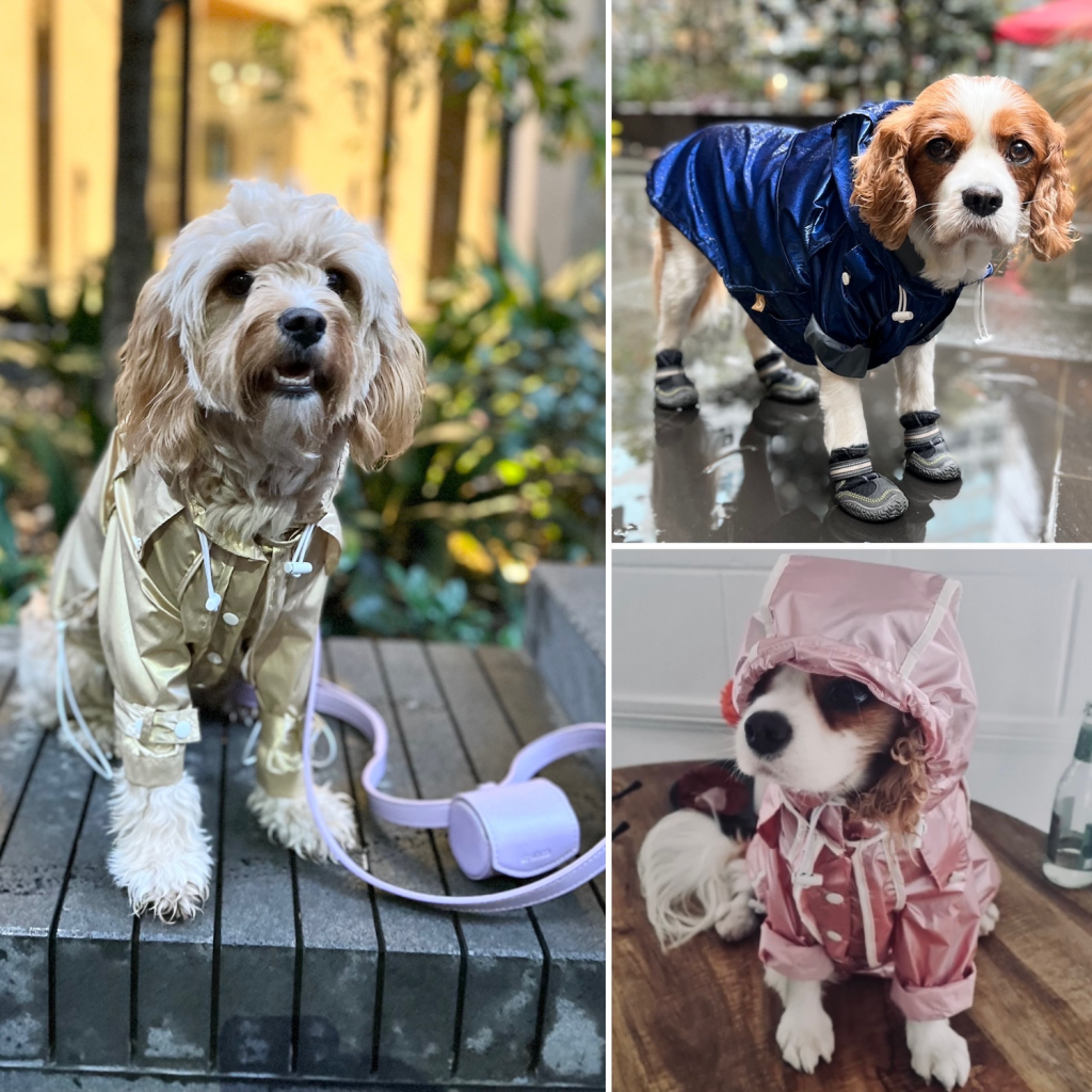 Monte & Co | Designer Dog Rain coat jacket by Sebastian Says
