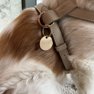Monte & Co | Ollie & James Pet ID Tag
