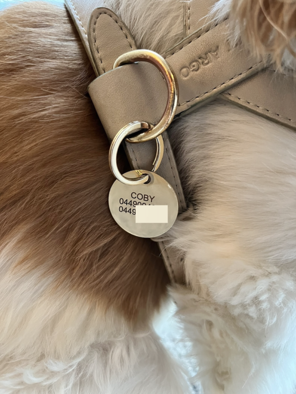 Monte & Co | Ollie & James Pet ID Tag personalisation for Coby (engraved side)