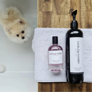 Monte & Co | The d'Bacca 169 Set by Harlow Harry | Conditioning Pet Dog Shampoo + Pet Perfume Parfum