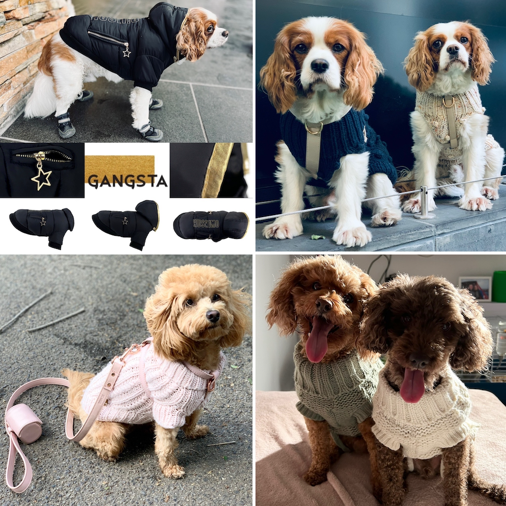Luxury dog cat pet jumpers sweaters coats jackets (Monte & Co winter collection)