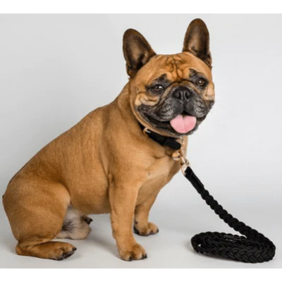 Monte & Co | Designer Dog Cat Collar Plaited Braided Design in Black by HGP Luxury Pet Accessories