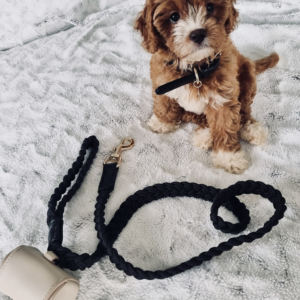 Monte & Co | Designer dog collar and lead plaited black walk set by HGP Luxury Pet Accessories with designer poop bag holder in taupe by St Argo Melbourne