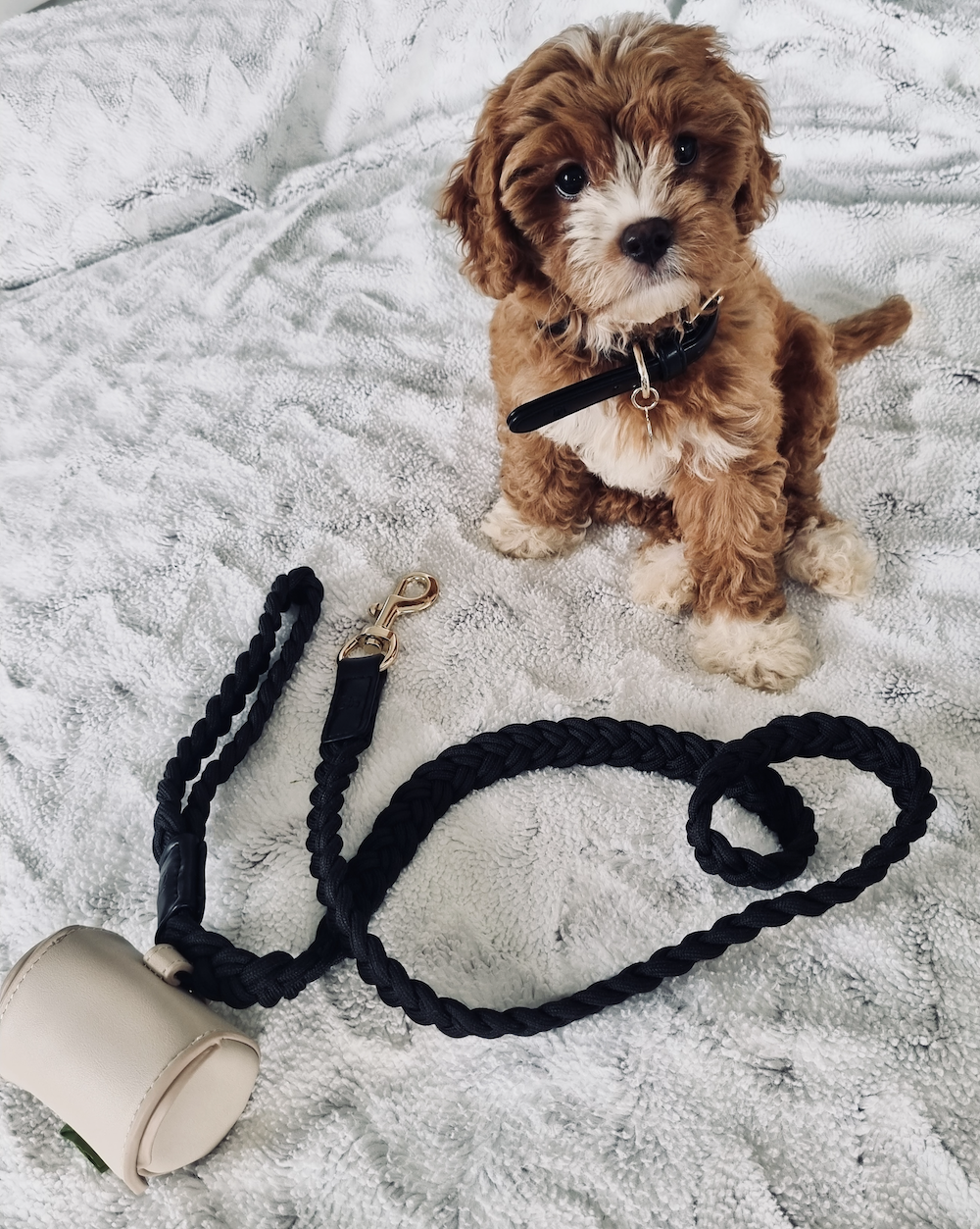 Coco' Designer Pet Harness by HGP Luxury Pet Accessories