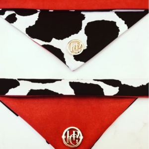 Monte & Co | Designer pet cat dog bandana scarf by HGP Luxury Pet Accessories | The Jesse Red Black and Gold