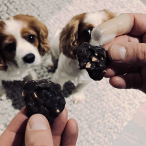 Monte & Co | Premium Organic Vegan Pet Treats - Dark Choc Carob & Peanut Clusters by Essential Dog