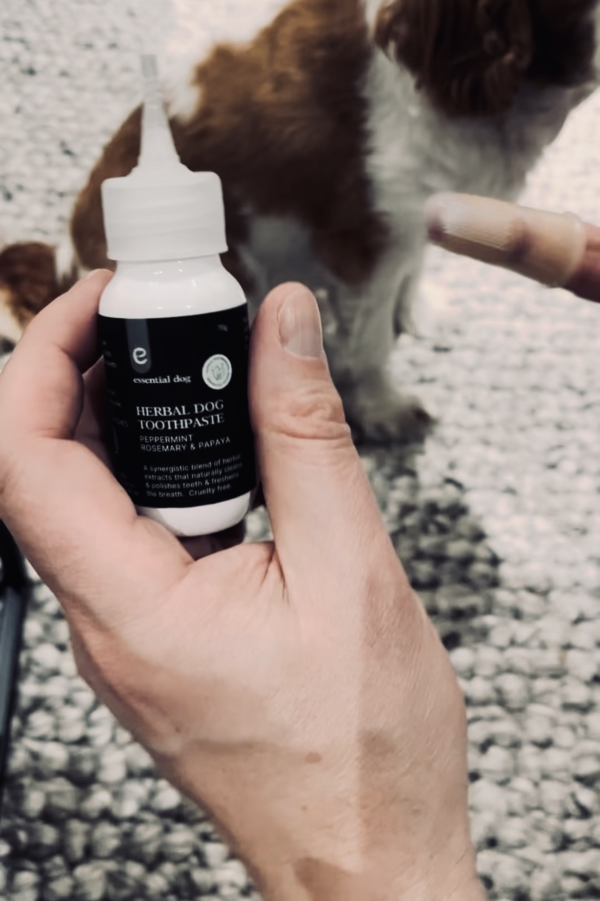 Monte & Co | Premium Pet Dental Finger Tooth Brush and All Natural Herbal Dog Toothpaste by Essential Dog
